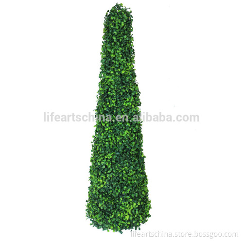 topiary boxwood cone tree